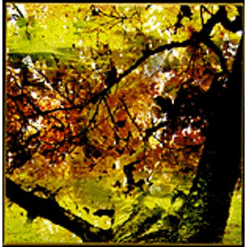 Hotguitars / Drake's Medicine - Split 7" Hotguitars / Drake's Medicine - Split 7"